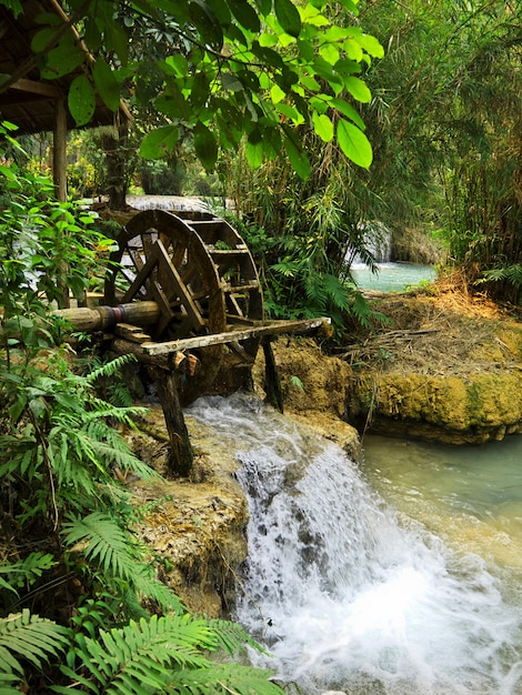 The waterfall in the jungle, Laos