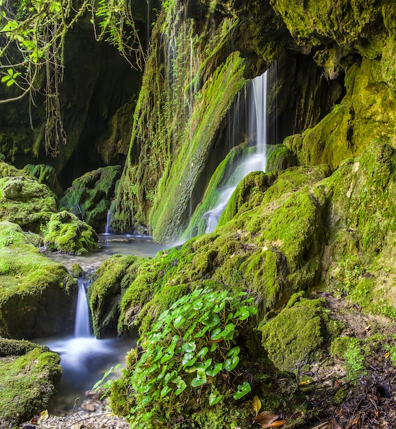 Waterfall in the jungle of stones covered with green moss