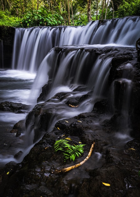 A waterfall in the jungle with a palm tree on the bottom.