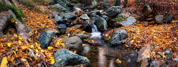 Waterfall on a mountain river in the autumn forest