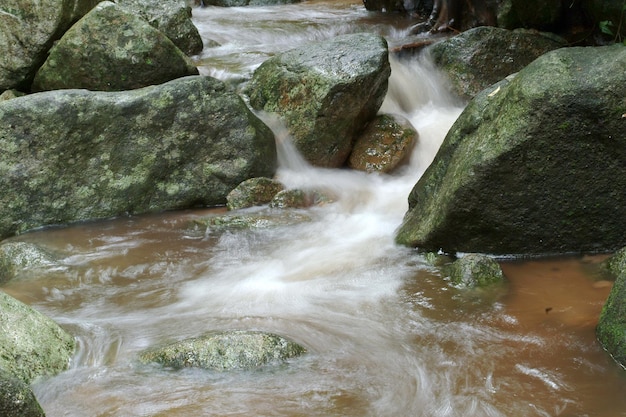 waterfall in the natural forest