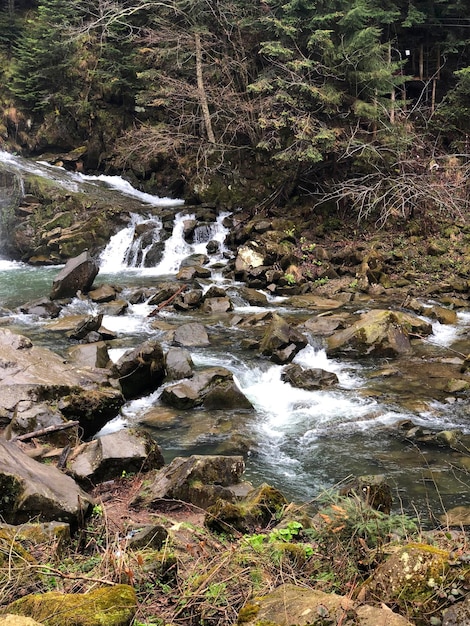 Waterfall Nature Kamyanets Lviv