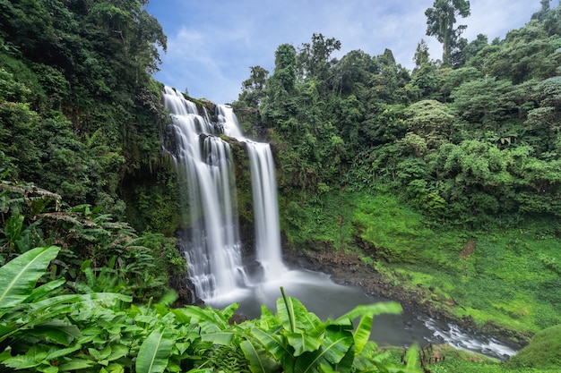 Waterfall, Peaceful natural background with beautiful waterfall in jungle rain-forest