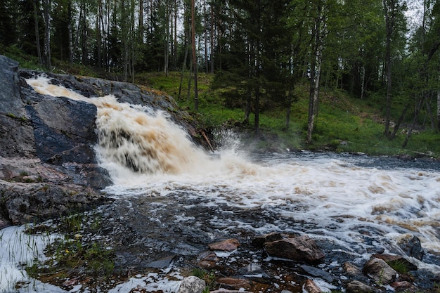 Waterfall in the river with stones in the forest in summer