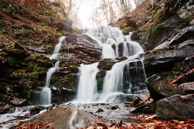 Waterfall Shypit on Borzhava, Pylypets village on Carpathian mountains. Ukraine. Europe. Amazing waterfall of world in autumn forest. Beauty of world. 