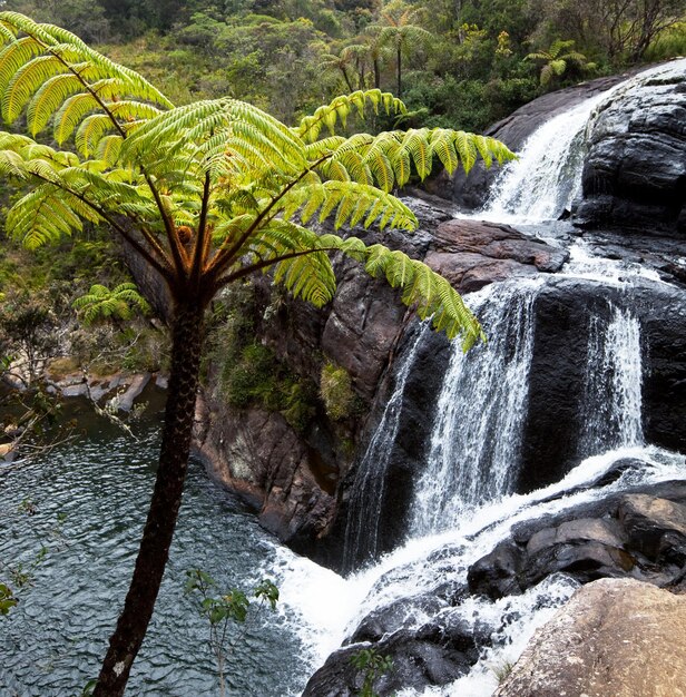 Waterfall on Sri Lanka