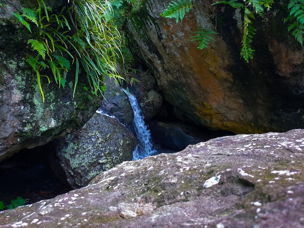 Waterfall in tropical forest