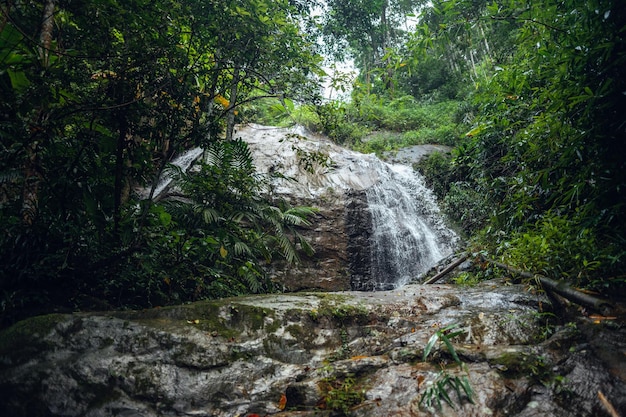 Waterfall in tropical forestwaterfall in jungle