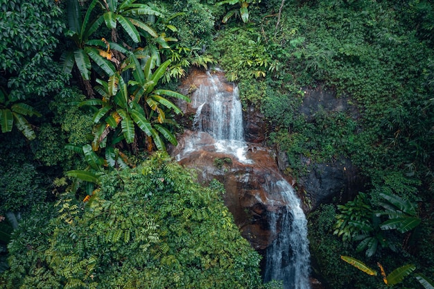 Waterfall in tropical forestwaterfall in jungle