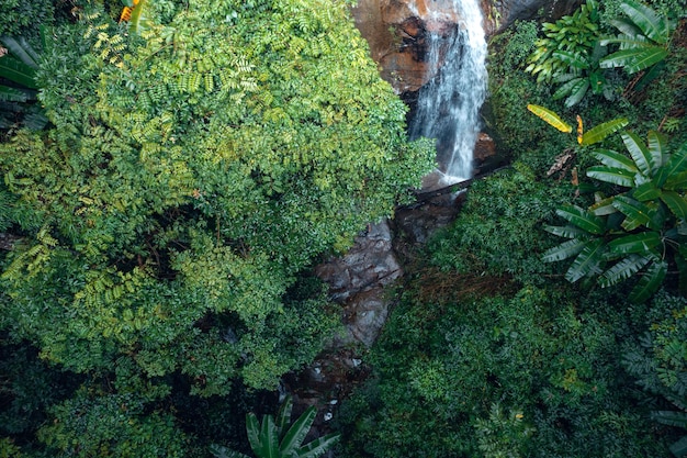 Waterfall in tropical forestwaterfall in jungle