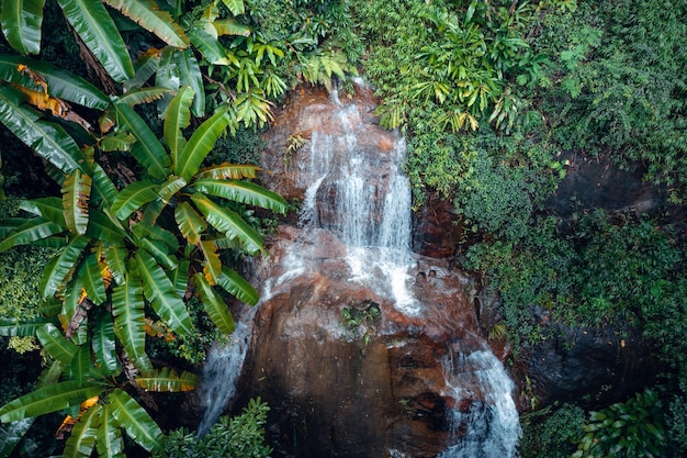 Waterfall in tropical forestwaterfall in jungle