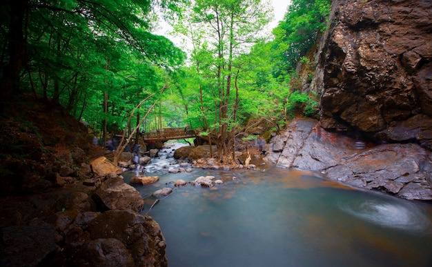 Waterfall view in the forest Erikli waterfall Yalova