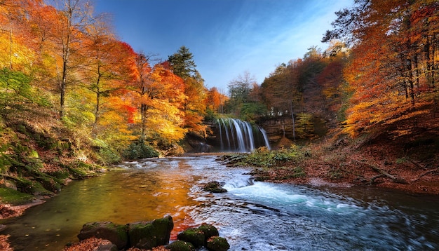 Photo a waterfall in the woods is surrounded by trees and water