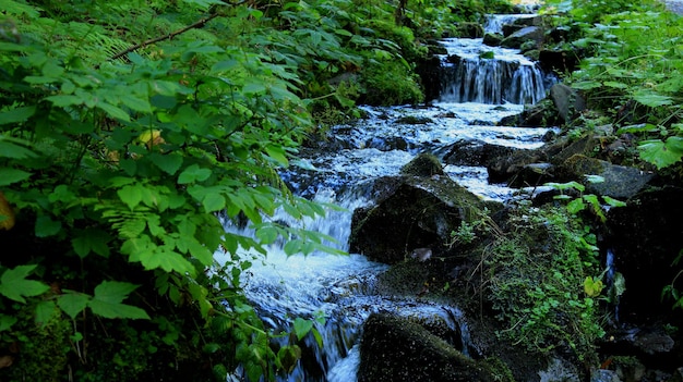 Waterfalls Between Rocks In A Small Forest River