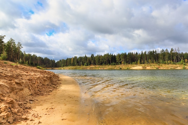 Waterfront beach clear forest lake