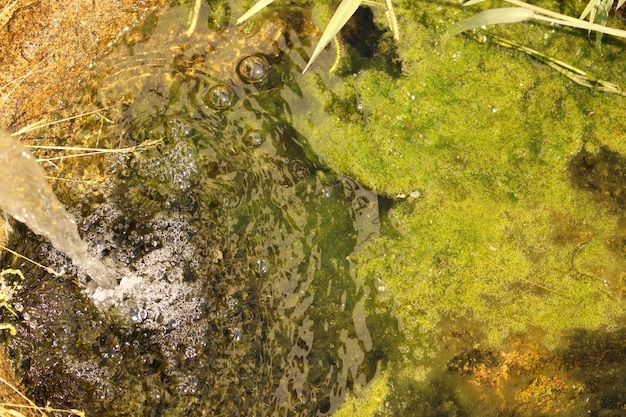 Photo waterful with moss on top