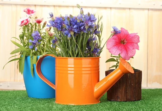 Watering can and plants in flowerpots on grass on wooden background