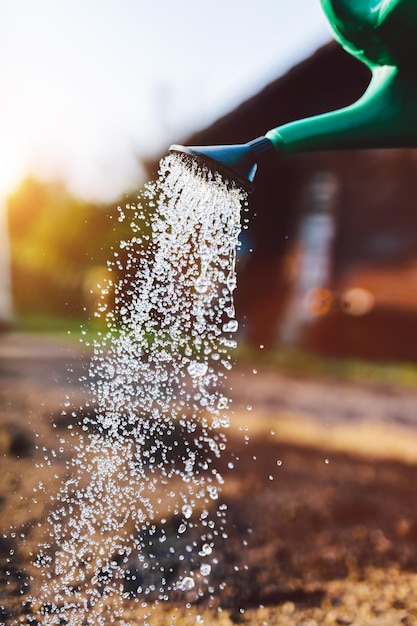 Watering garden from a pot Cultivating soil