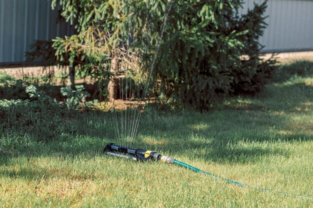 Watering lawn Irrigation system lawn sprinkler spray water over fresh green grass in garden on summer morning in light outdoors sun with natural blurry background Closeup wide format copy space