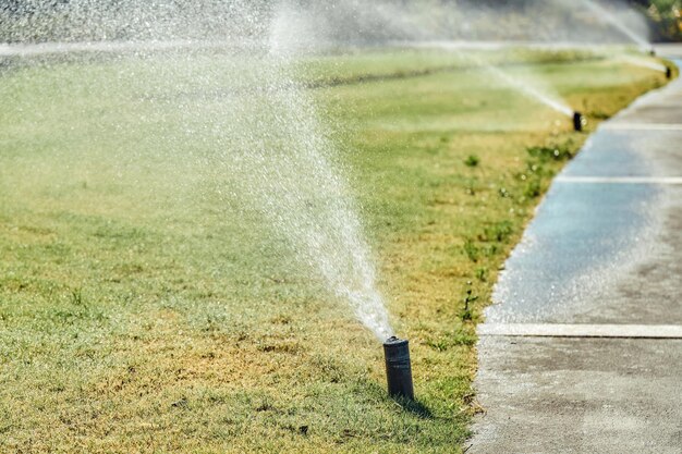 Watering system sprays water on green lawn on territory of hotel close view