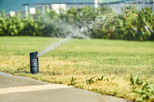 Watering system sprays water on green lawn on territory of hotel close view