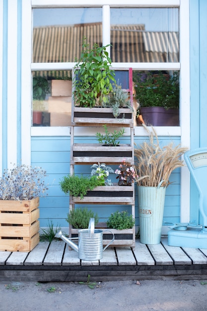 Wateringcan and plants in pots on porch home.