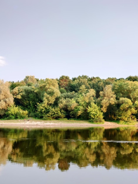 a watermark that says " the name of the river "