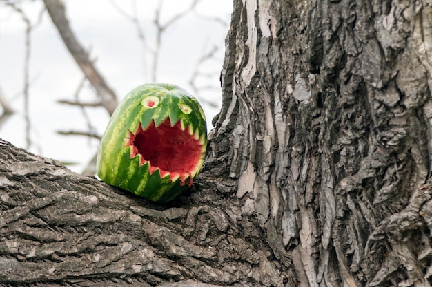 Watermelon crazy mask aka Halloween