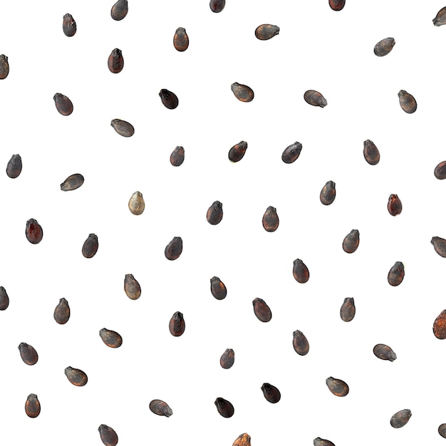 Watermelon seeds on white background