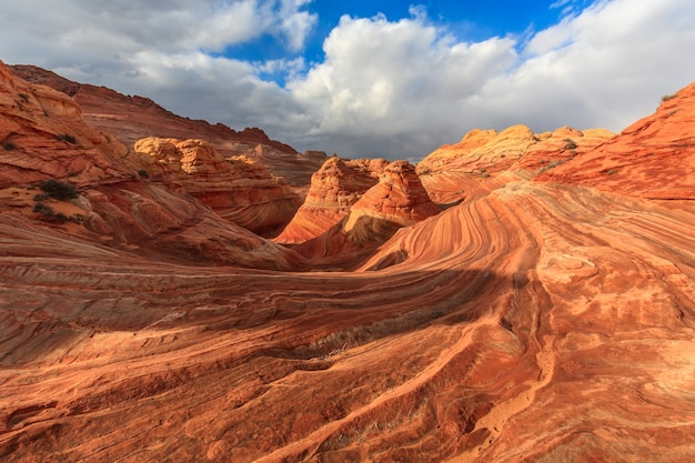 The Wave Coyote Butts North Arizona USA