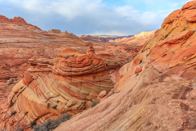 The Wave Coyote Butts North Arizona USA