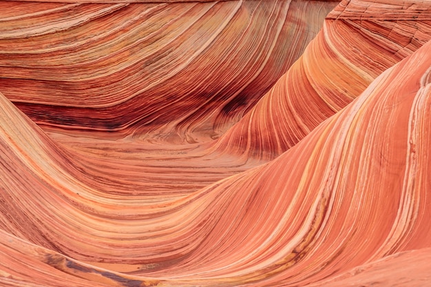 The Wave Coyote Butts North Arizona USA