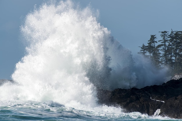 Wave crashing on a rocky coastline in Big Beach, Ucluelet, Vancouver Island, BC Canada