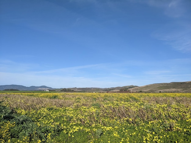 Wavecrest open space preserve