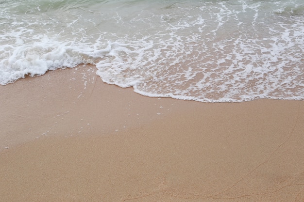 waves on beach of sea tropics in a day time.