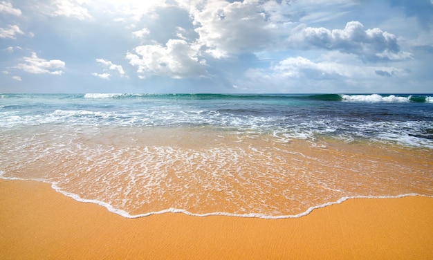 Waves of the ocean on a sandy coast