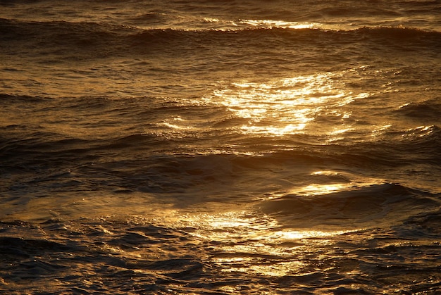 Waves and rays of a sun are reflected in the sea