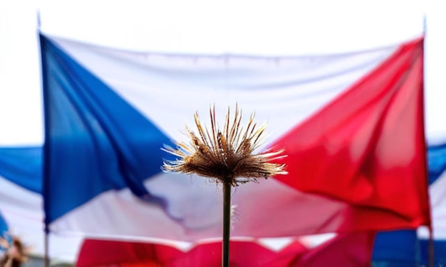 Photo waving flag of france on bright sunny day high in the blue sky with clouds and sun background as a symbol of freedom and independence day or bastille day on july 14