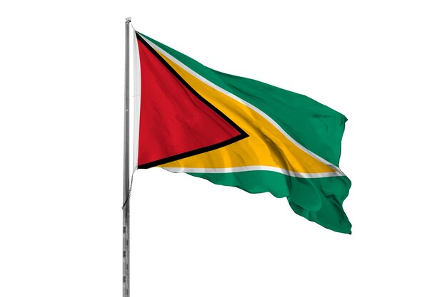 Photo waving guyana flag