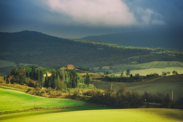 Wavy fields in Tuscany