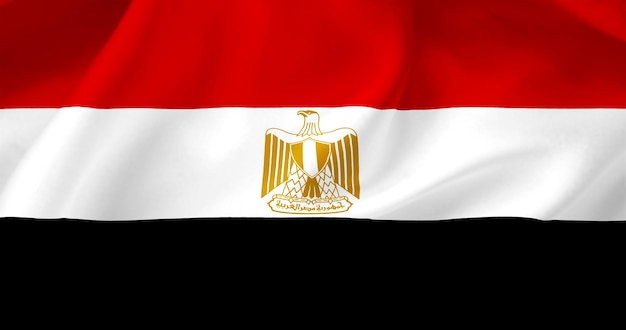 Wavy flag of Egypt Flag of a free country The flag flutters in the wind Textiles satin