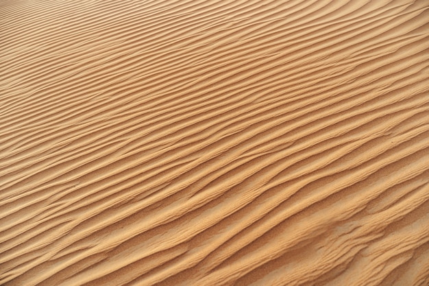 Wavy sand texture in dubai desert close up