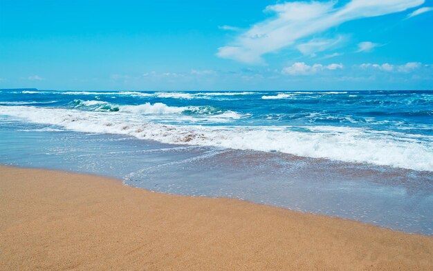 Wavy shore on a clear windy day