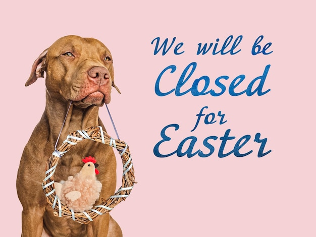 We will be closed for Easter Signboard