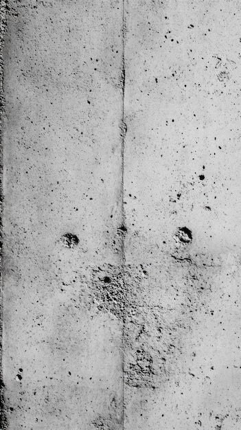 Weathered Concrete Wall with a Vertical Crack