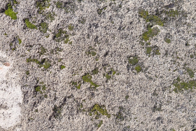 Weathered outdoors stone texture background with moss patches