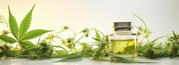 a web banner for a blog about CBD oil