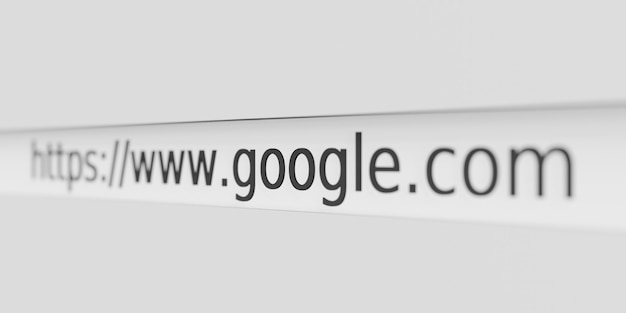 Website url google address in the browser