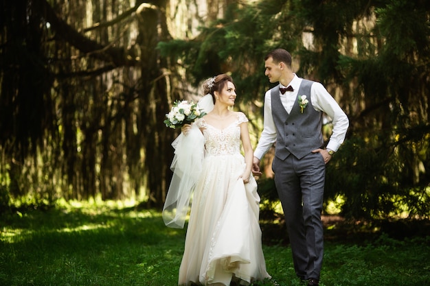 A wedding couple enjoys walking in the woods. Newlyweds hug and hold hands