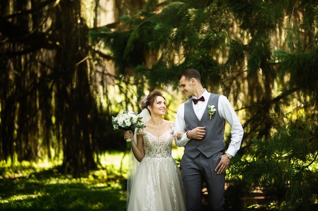 A wedding couple enjoys walking in the woods. Newlyweds hug and hold hands